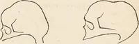 An illustration from The philosophy of phrenology / by a member of the Phrenological and Philosophical Societies of Glasgow. (1838)