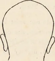 Picture 10 of 16 from The philosophy of phrenology / by a member of the Phrenological and Philosophical Societies of Glasgow. (1838), leaf 134