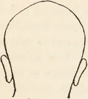 Picture 11 of 16 from The philosophy of phrenology / by a member of the Phrenological and Philosophical Societies of Glasgow. (1838), leaf 135