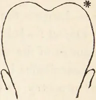 Picture 12 of 16 from The philosophy of phrenology / by a member of the Phrenological and Philosophical Societies of Glasgow. (1838), leaf 135