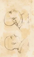 An illustration from The philosophy of phrenology / by a member of the Phrenological and Philosophical Societies of Glasgow. (1838)
