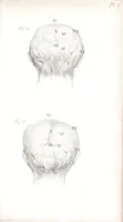 Picture 4 of 17 from Phrenology, or The doctrine of the mind : and of the relations between its manifestations and the body / By G. Spurzheim, M.D. (1830), leaf 329