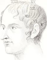 An illustration from Phrenology, or The doctrine of the mind : and of the relations between its manifestations and the body / By G. Spurzheim, M.D. (1830)