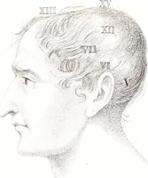 An illustration from Phrenology, or The doctrine of the mind : and of the relations between its manifestations and the body / By G. Spurzheim, M.D. (1830)