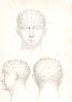 An illustration from Phrenology, or The doctrine of the mind : and of the relations between its manifestations and the body / By G. Spurzheim, M.D. (1830)