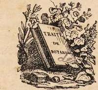 An illustration from Curso de botanica elemental. Parte teórica / por Miguel Bustamante. (1841)