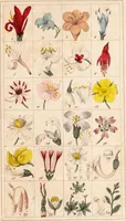 An illustration from Curso de botanica elemental. Parte teórica / por Miguel Bustamante. (1841)