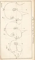 An illustration from A practical and familiar view of the science of physiognomy / compiled chiefly from the papers of the late Mr. T. Cooke, of Manchester, with a memoir and observations on the temperaments. By the editor. (1819)