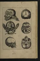 An illustration from A sure guide; or, the best and nearest way to physick and chyrurgery .... Being an anatomical description of the whol [sic] body of man, and its parts, with their respective diseases .... In six books .... / Englished by Nich. Culpeper, Gent. and W.R. doctor of the liberal arts, and of physick [i.e. William Rand]. (1657)