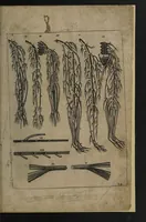 An illustration from A sure guide; or, the best and nearest way to physick and chyrurgery .... Being an anatomical description of the whol [sic] body of man, and its parts, with their respective diseases .... In six books .... / Englished by Nich. Culpeper, Gent. and W.R. doctor of the liberal arts, and of physick [i.e. William Rand]. (1657)