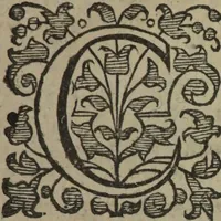 An illustration from A treatise of witchcraft : wherein sundry propositions are laid downe, plainely discouering the wickednesse of that damnable art, with diuerse other speciall points annexed, not impertinent to the same, such as ought diligently of euery Christian to be considered. With a true narration of the witchcrafts which Mary Smith, wife of Henry Smith glouer, did practise ... / By Alexander Roberts. (1616)