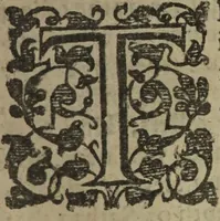 An illustration from A treatise of witchcraft : wherein sundry propositions are laid downe, plainely discouering the wickednesse of that damnable art, with diuerse other speciall points annexed, not impertinent to the same, such as ought diligently of euery Christian to be considered. With a true narration of the witchcrafts which Mary Smith, wife of Henry Smith glouer, did practise ... / By Alexander Roberts. (1616)