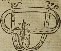 An illustration from Platerus Golden practice of physick : Fully and plainly discovering, I. All the kinds. II. The several causes of every disease. III. Their most proper cures ... In three books, and five tomes, or parts. Being the fruits of one and thirty years travel: and fifty years practice of physick / By Felix Plater, Abdiah Cole, Nich. Culpeper. (1664)
