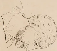 An illustration from Histoire des penchans et des sentimens de l'homme, d'après la doctrine de Gall / Par F.Ch. Ornée de vingt portraits. (1829)