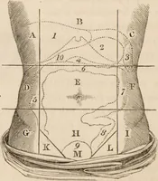 An illustration from The confessional ... An analysis of the causes and cure of melancholy, nervousness, mental and physical debility, arising from ill health, worldly anxiety ... To which is added an essay on corpulency-obesity ... A sketch of choice in marriage, phrenologically considered ... and a few comments on drunkenness / [Robert James Culverwell]. (1841)