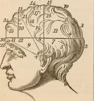 An illustration from The confessional ... An analysis of the causes and cure of melancholy, nervousness, mental and physical debility, arising from ill health, worldly anxiety ... To which is added an essay on corpulency-obesity ... A sketch of choice in marriage, phrenologically considered ... and a few comments on drunkenness / [Robert James Culverwell]. (1841)