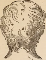 An illustration from The confessional ... An analysis of the causes and cure of melancholy, nervousness, mental and physical debility, arising from ill health, worldly anxiety ... To which is added an essay on corpulency-obesity ... A sketch of choice in marriage, phrenologically considered ... and a few comments on drunkenness / [Robert James Culverwell]. (1841)