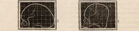 Picture 2 of 37 from Outlines of phrenology / [George Combe]. (1835), leaf 14
