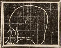 An illustration from Outlines of phrenology / [George Combe]. (1835)