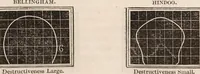 Picture 5 of 37 from Outlines of phrenology / [George Combe]. (1835), leaf 15