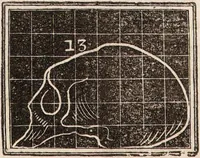 An illustration from Outlines of phrenology / [George Combe]. (1835)