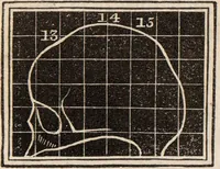 An illustration from Outlines of phrenology / [George Combe]. (1835)