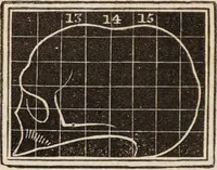 Picture 18 of 37 from Outlines of phrenology / [George Combe]. (1835), leaf 20