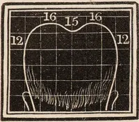 An illustration from Outlines of phrenology / [George Combe]. (1835)