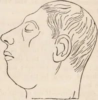 An illustration from Outlines of phrenology / [George Combe]. (1835)