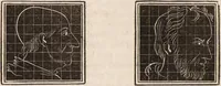 An illustration from Outlines of phrenology / [George Combe]. (1835)