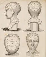 An illustration from Outlines of phrenology / [George Combe]. (1835)