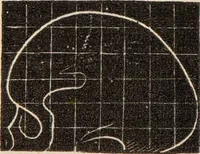 Picture 4 of 47 from Outlines of phrenology / [George Combe]. (1838), leaf 18