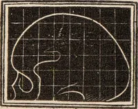 Picture 7 of 47 from Outlines of phrenology / [George Combe]. (1838), leaf 18