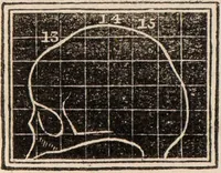 Picture 24 of 47 from Outlines of phrenology / [George Combe]. (1838), leaf 24
