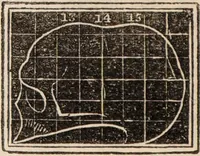 Picture 25 of 47 from Outlines of phrenology / [George Combe]. (1838), leaf 24