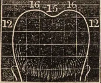 Picture 27 of 47 from Outlines of phrenology / [George Combe]. (1838), leaf 25