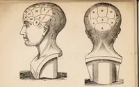 An illustration from Outlines of phrenology / [George Combe]. (1838)