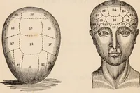 An illustration from Outlines of phrenology / [George Combe]. (1838)