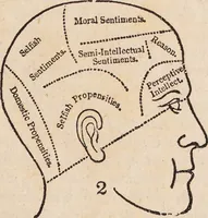 An illustration from O.S. Fowler on temperance, founded on phrenology and physiology, or, The laws of life, and the principles of the human constitution, as developed by the sciences of phrenology and physiology, applied to total abstinence from all alcoholic and intoxicating drinks / by O.S. Fowler. (1844)