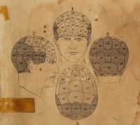 An illustration from Manual of phrenology / by J. Epps. (1830)