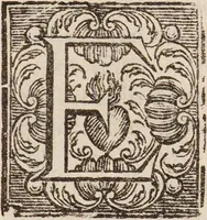 Picture 29 of 31 from Isaaci Newtoni Optices libri tres: accedunt ejusdem lectiones opticae, et opuscula omnia ad lucem et colores pertinentia sumpta ex Transactionibus philosophicis / [Sir Isaac Newton]. (1773), leaf 305