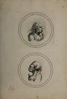 Picture 4 of 46 from Recueil de testes de caractère et de charges / dessinées par Leonard de Vinci ... et gravées par M. le C. de C. [i.e. le comte de Caylus]. (1730), leaf 35