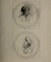 An illustration from Recueil de testes de caractère et de charges / dessinées par Leonard de Vinci ... et gravées par M. le C. de C. [i.e. le comte de Caylus]. (1730)