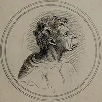 Picture 25 of 46 from Recueil de testes de caractère et de charges / dessinées par Leonard de Vinci ... et gravées par M. le C. de C. [i.e. le comte de Caylus]. (1730), leaf 65