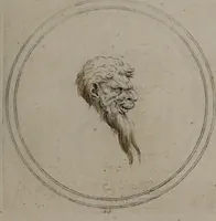 Picture 31 of 46 from Recueil de testes de caractère et de charges / dessinées par Leonard de Vinci ... et gravées par M. le C. de C. [i.e. le comte de Caylus]. (1730), leaf 73