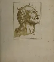An illustration from Recueil de testes de caractère et de charges / dessinées par Leonard de Vinci ... et gravées par M. le C. de C. [i.e. le comte de Caylus]. (1730)