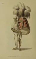Picture 51 of 56 from The costume of Hindostan, elucidated by sixty coloured engravings / with descriptions in English and French, taken in the years 1798 and 1799. By Balt. Solvyns, of Calcutta. (1804), leaf 236
