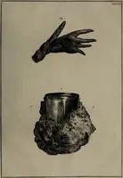 Picture 14 of 25 from Museum Britannicum; or, a display ... in [sic] antiquities and natural curiosities, in ... the British Museum .... / [Jan van Rymsdyk]. (1791), leaf 127