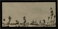 Picture 19 of 25 from Museum Britannicum; or, a display ... in [sic] antiquities and natural curiosities, in ... the British Museum .... / [Jan van Rymsdyk]. (1791), leaf 140