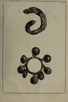 An illustration from Museum Britannicum; or, a display ... in [sic] antiquities and natural curiosities, in ... the British Museum .... / [Jan van Rymsdyk]. (1791)